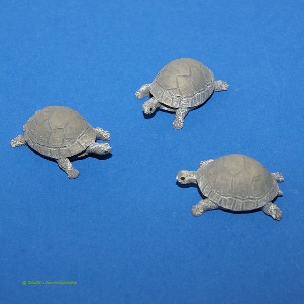 Miniatur Schildkröte