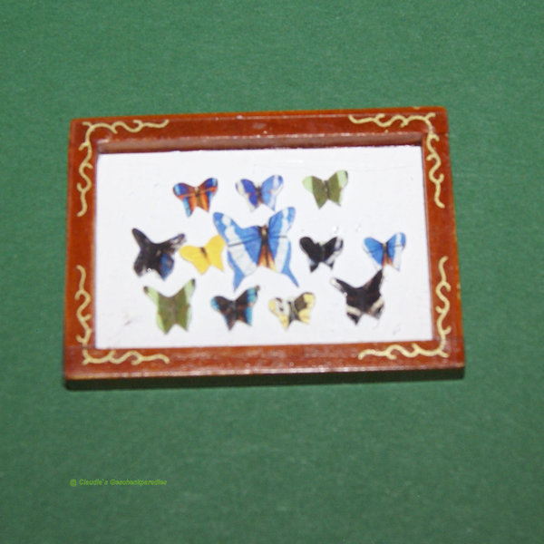 Miniatur Schmetterlingsbox