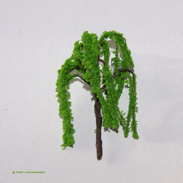 Miniatur Baum Trauerweide