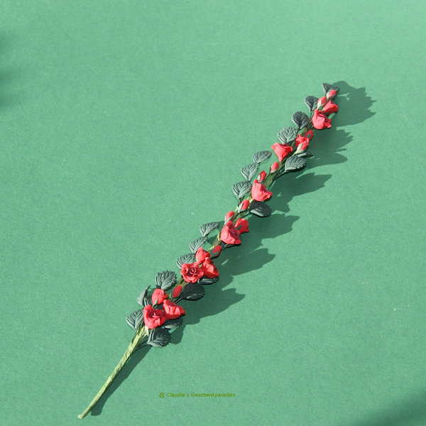 Miniatur Rosenranke rot