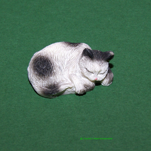 Miniatur Katze weiß-schwarz