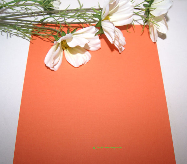Leinenkarton orange DIN A4 (5 Stück)
