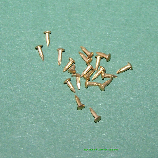 Miniatur Nägel (Set mit 20 Stück)
