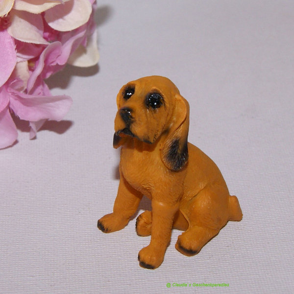 Miniatur Hund braun